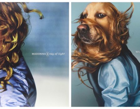 Galerija: Upoznajte Maxdonnu: Madonnu u psećoj verziji koja vjerodostojno pokazuje karijeru pjevačice