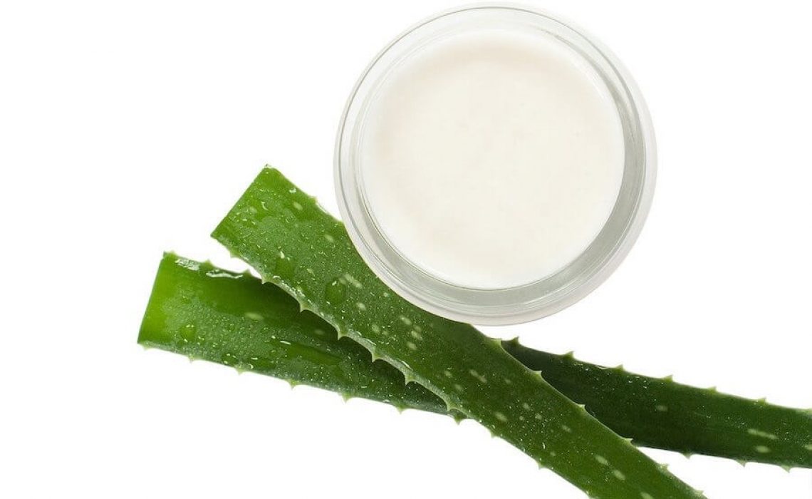 Aloe vera: jedan od najučinkovitijih sastojaka za njegu kože, kose i tijela