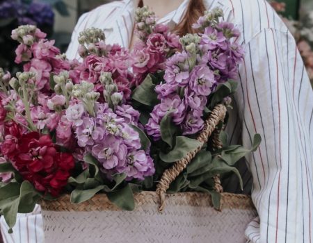 Šećer za ruže, sol za gerbere. Kako produžiti trajanje rezanog cvijeća?