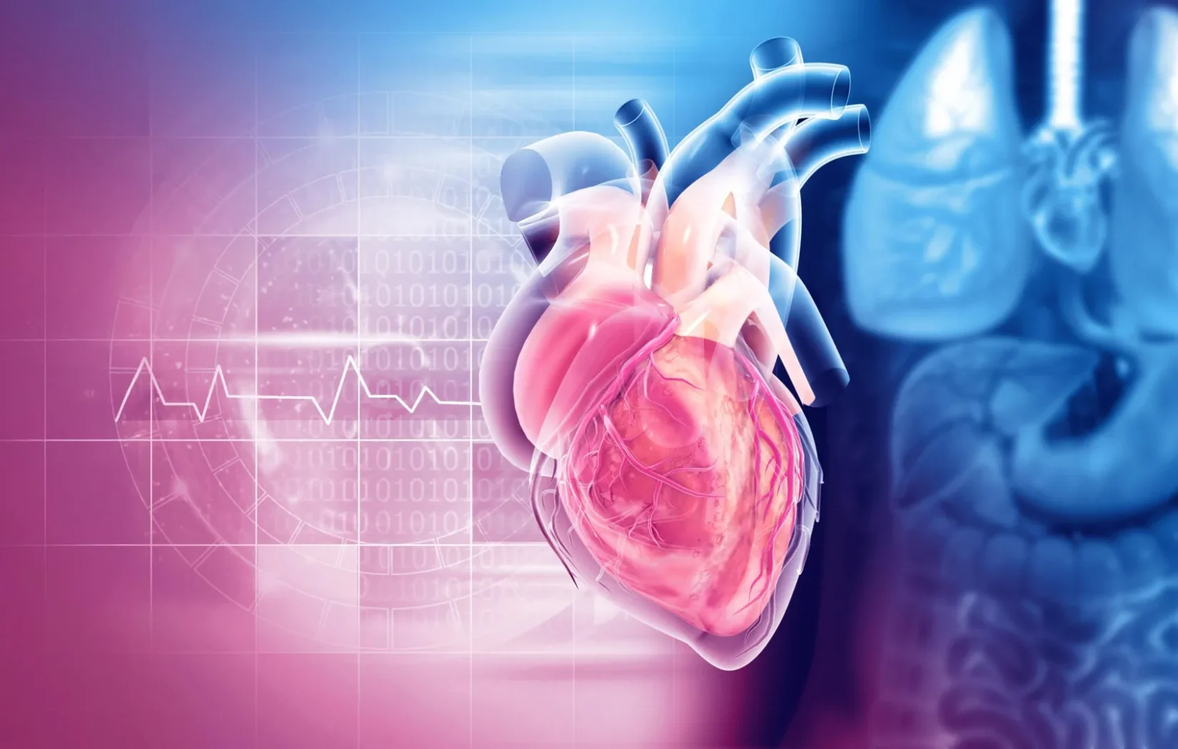 Veza između serotonina i bolesti mitralnog zaliska otkriva nove mogućnosti praćenja i liječenja