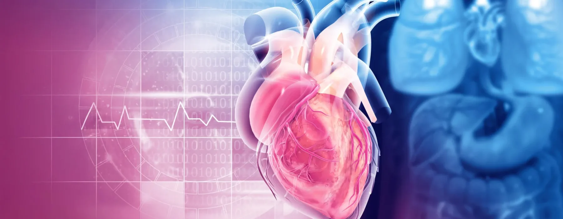 Veza između serotonina i bolesti mitralnog zaliska otkriva nove mogućnosti praćenja i liječenja