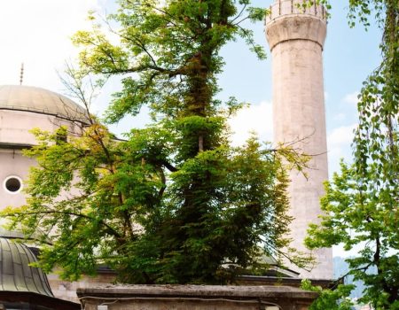 11 najboljih stvari koje možete raditi u Sarajevu